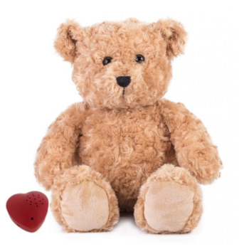recordable teddy