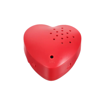 recordable voice box